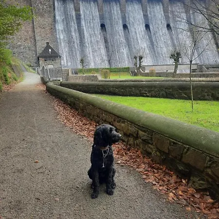 아파트 Bouma Helminghausen