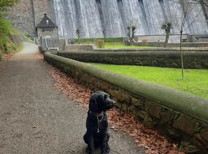 Διαμέρισμα Bouma Helminghausen